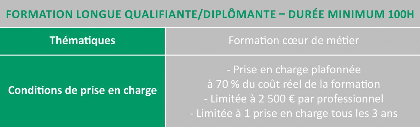 Tableau formations longues qualifiantes diplomantes