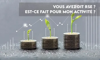 trois piles de pièces de plus en plus hautes et dans chacune une pousse prend racine